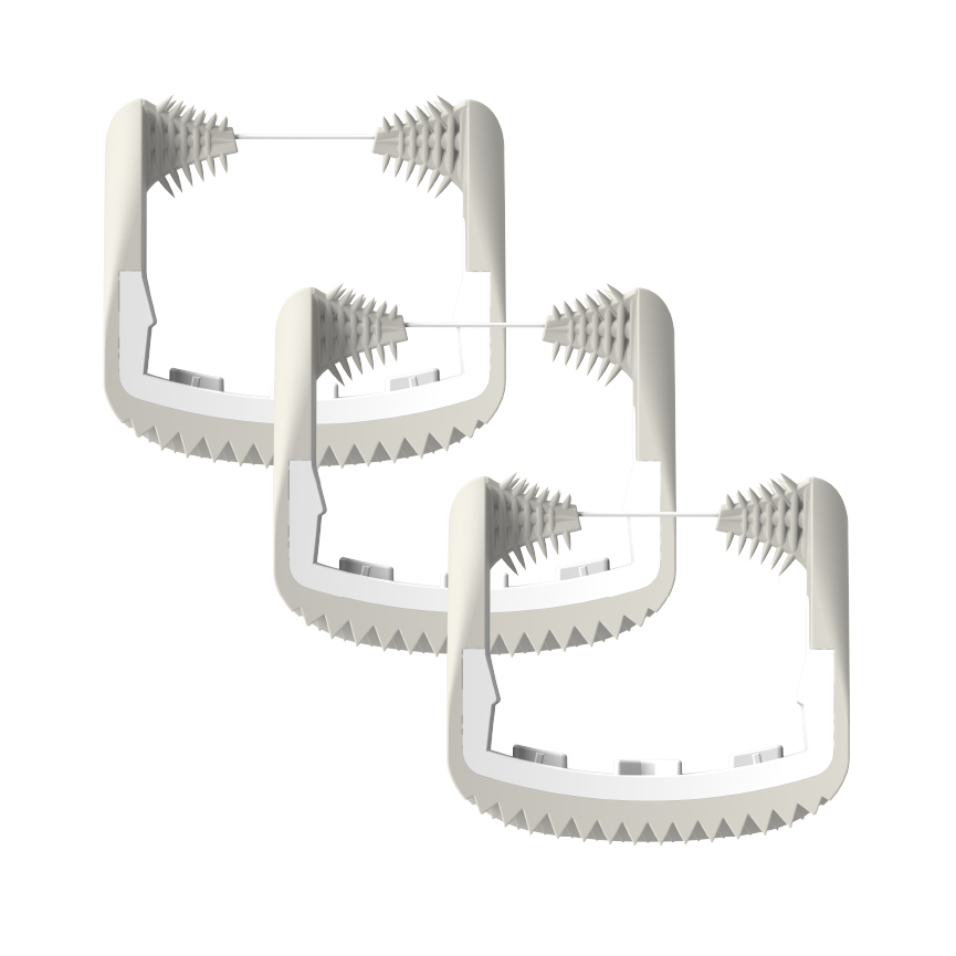 Cabezales de hilo dental de 4 colores