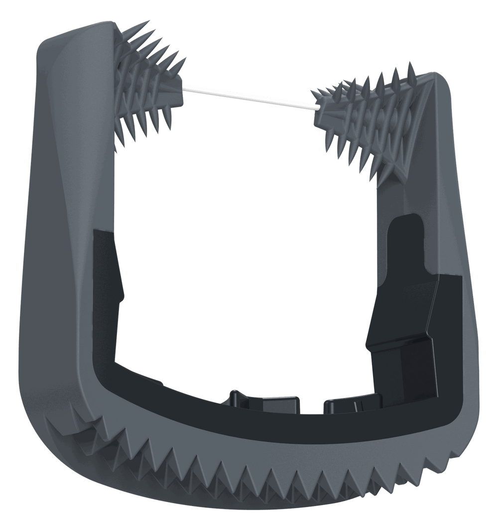 Slate 3-in-1 floss head: woven floss, gum brushes, and tongue scraper