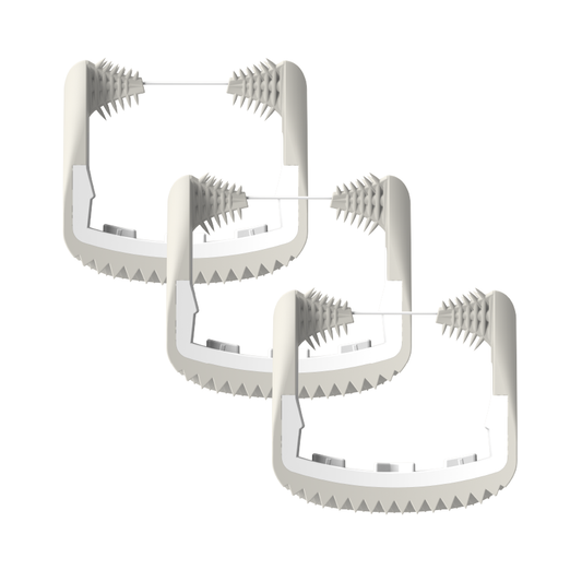 Cabezales de hilo dental de 4 colores