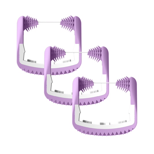 Cabezales de hilo dental de 4 colores