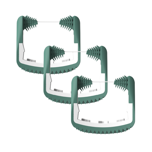 Cabezales de hilo dental de 4 colores