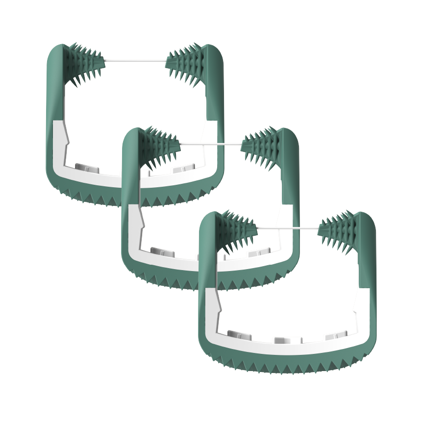 Cabezales de hilo dental de 4 colores