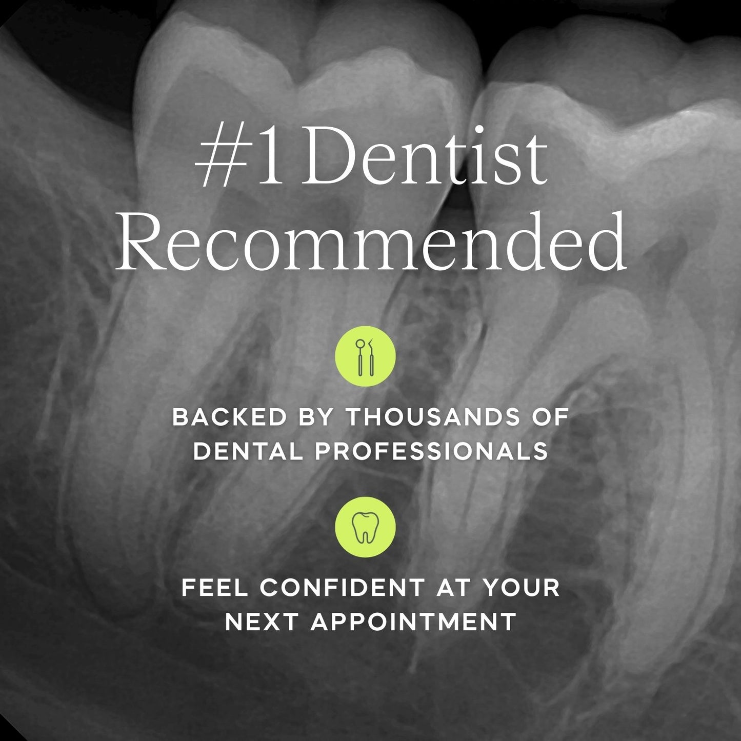 Mint nHA Thin Floss Heads - 20-Pk