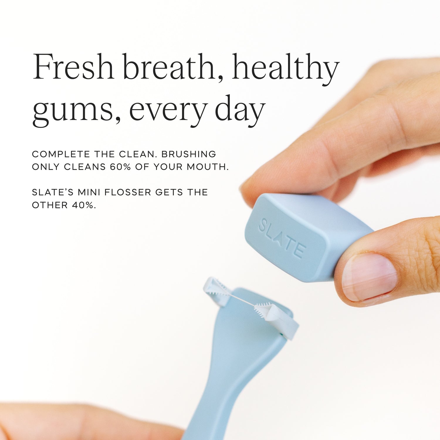 Slate Mini Flosser