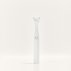 Slate Origin Electric Flosser